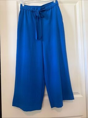 Wide Leg Drawstring Pants in Cobalt Blue
